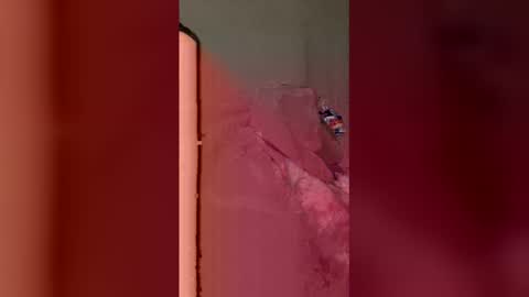 otmdetailing6 online show from December 2025 08:20:02 AM