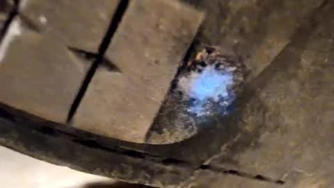 Pablo Meness online show from December 2025 08:49:02 PM