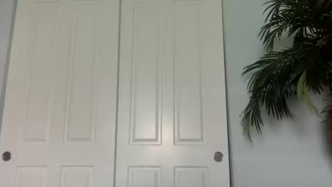 Snapshot of palmflaco chatting on October 2025 05:44:02 PM palmflacco online show from October 2025 05:44:02 PM