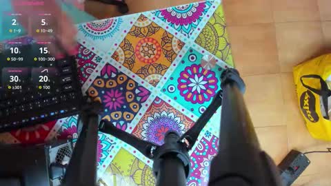 PALOMA 3 online show from November 2025 11:10:02 AM