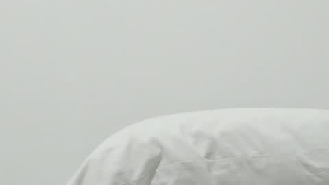 Snapshot of pamela_rosal chatting on January 2025 03:26:01 AM Pamela online show from January 2025 03:26:01 AM