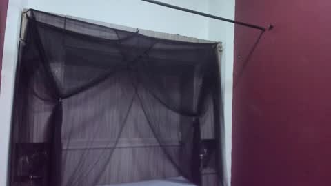  P A M  online show from February 2026 04:02:01 AM