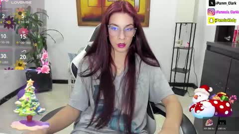 pammela clark online show from November 2025 02:34:02 AM