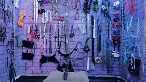 PandoraNez online show from March 2025 01:38:02 PM