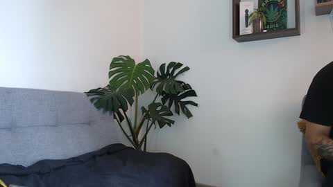 pantyhose_xxx_ online show from December 2024 03:55:01 PM