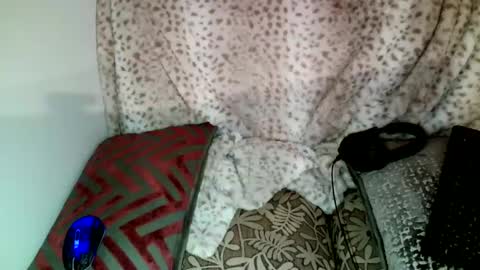 Parlay tellio online show from December 2024 10:40:02 PM