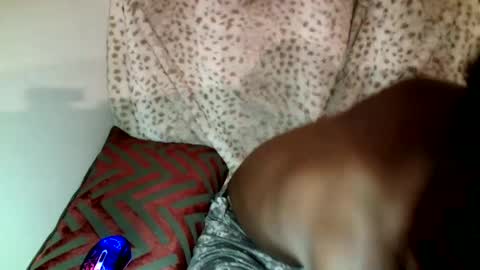 Snapshot of parlaytellio chatting on December 2024 11:49:01 PM Parlay Tellio online show from December 2024 11:49:01 PM