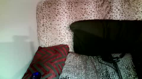 Snapshot of parlaytellio chatting on January 2025 11:56:02 PM Parlay Tellio online show from January 2025 11:56:02 PM