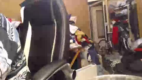 Snapshot of pascal88881 chatting on December 2024 06:10:02 PM pascal88881 online show from December 2024 06:10:02 PM