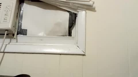 JD online show from December 2024 02:32:01 AM