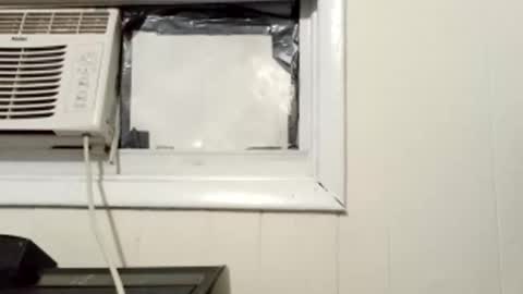 JD online show from March 2025 10:13:02 AM