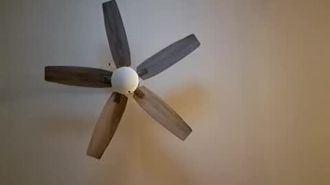 Snapshot of patrick247288 chatting on November 2025 06:13:02 AM patrick247288 online show from November 2025 06:13:02 AM