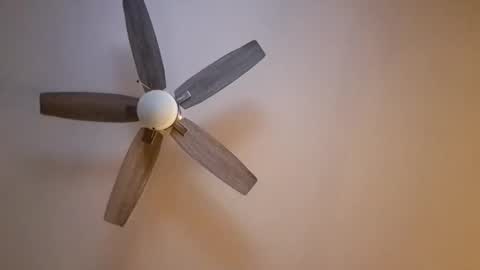 Snapshot of patrick247288 chatting on November 2025 06:30:01 AM patrick247288 online show from November 2025 06:30:01 AM