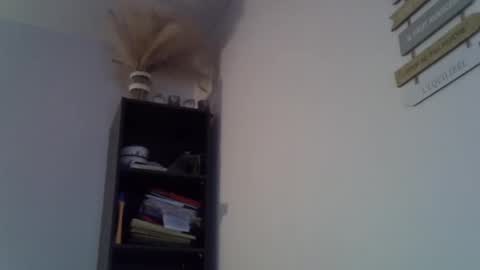 patrick5275 online show from February 2025 07:00:02 AM