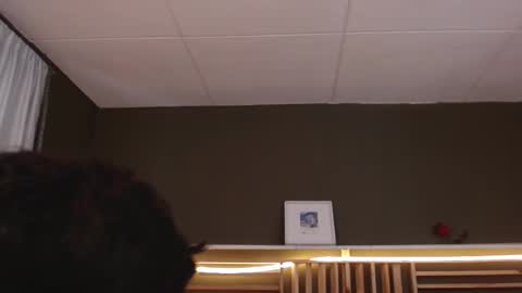 Snapshot of paul_evanss chatting on November 2025 01:54:01 PM Paul online show from November 2025 01:54:01 PM