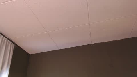 Snapshot of paul_evanss chatting on December 2025 01:31:01 PM Paul online show from December 2025 01:31:01 PM