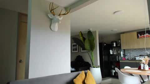 Snapshot of paul_reyborg chatting on April 2026 04:55:02 PM Paul online show from April 2026 04:55:02 PM