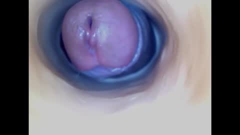 Snapshot of paulainoscente chatting on October 2025 09:21:02 PM Paula 18 Aninhos online show from October 2025 09:21:02 PM