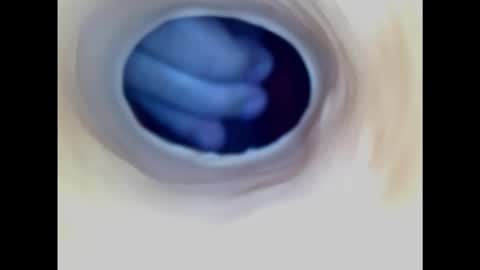 Snapshot of paulainoscente chatting on November 2025 02:36:01 AM Paula 18 Aninhos online show from November 2025 02:36:01 AM