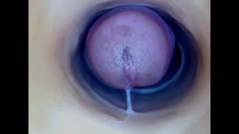 Snapshot of paulainoscente chatting on December 2025 04:33:01 PM Paula 18 Aninhos online show from December 2025 04:33:01 PM