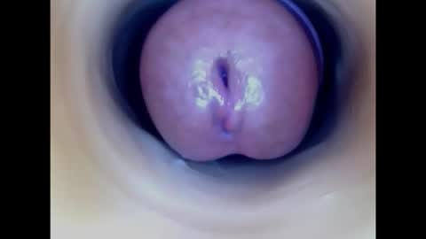 Paula 18 Aninhos online show from February 2026 04:35:02 PM