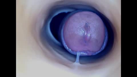 Paula 18 Aninhos online show from April 2026 04:32:01 AM