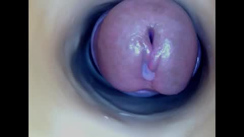 Paula 18 Aninhos online show from April 2026 04:07:01 AM