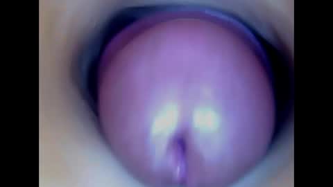 Snapshot of paulainoscente chatting on June 2026 05:24:02 PM Paula 18 Aninhos online show from June 2026 05:24:02 PM