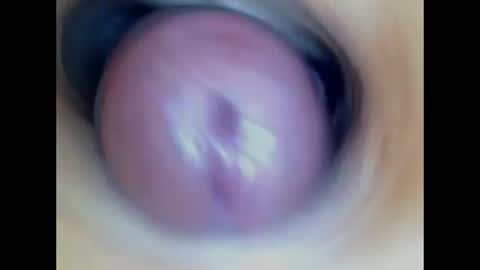 Snapshot of paulainoscente chatting on July 2026 01:59:01 PM Paula 18 Aninhos online show from July 2026 01:59:01 PM