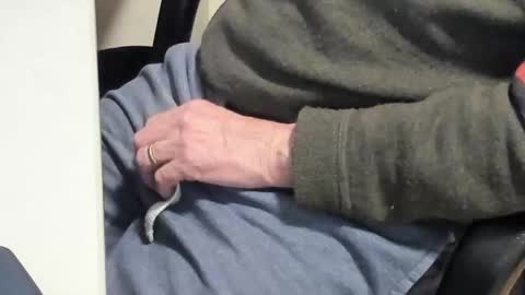 Snapshot of paultje7171 chatting on February 2025 06:45:02 PM Paul online show from February 2025 06:45:02 PM