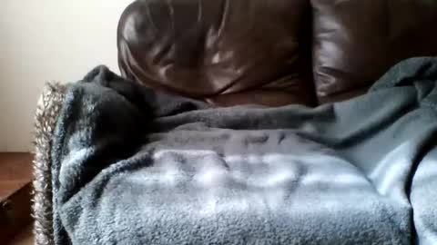 Snapshot of paurlien chatting on March 2026 11:04:02 AM paurlien online show from March 2026 11:04:02 AM