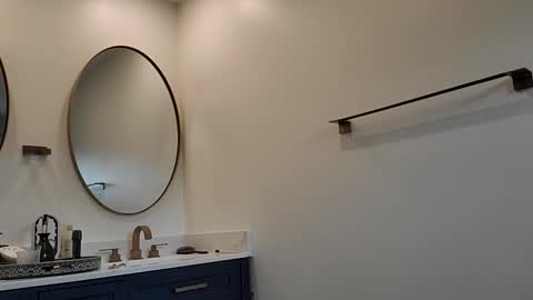 Pavone splash online show from December 2025 05:40:02 PM