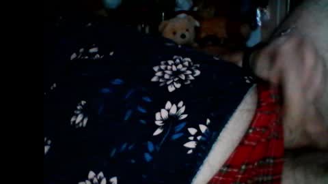 Papabear online show from January 2025 08:57:02 AM