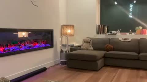 Snapshot of peacheekitty chatting on April 2026 04:46:02 AM Effyyyyy online show from April 2026 04:46:02 AM