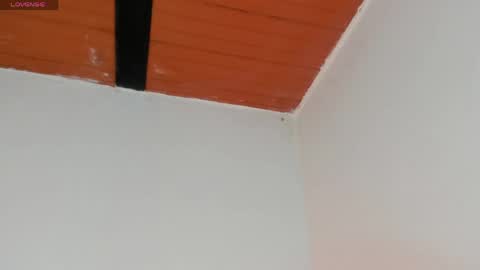 Snapshot of pear__moon chatting on April 2026 03:20:02 AM LILLY online show from April 2026 03:20:02 AM