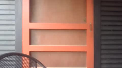 pecos8686 online show from March 2026 02:51:01 PM