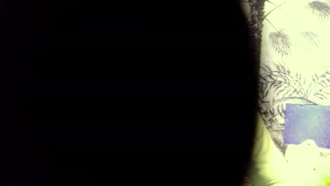 PedrOO OO online show from December 2024 08:49:01 AM