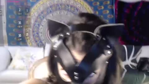 Snapshot of peekclimaxxx chatting on December 2024 02:41:02 PM NEXT CHILL SESH  1130 930pm -ish PEEK online show from December 2024 02:41:02 PM