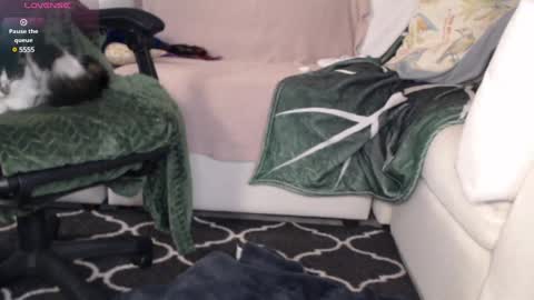 Snapshot of peekclimaxxx chatting on March 2025 02:19:02 AM NEXT CHILL SESH  1130 930pm -ish PEEK online show from March 2025 02:19:02 AM