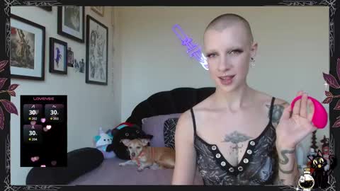 Pepper Dagger online show from September 2025 10:00:02 PM