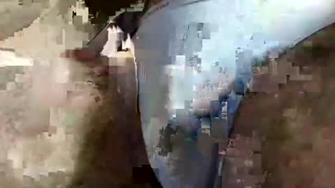 Snapshot of perfect_ftm chatting on April 2026 06:33:01 AM perfectFTM online show from April 2026 06:33:01 AM