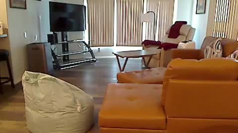 Snapshot of perfecto1957 chatting on December 2024 07:55:01 PM perfecto1957 online show from December 2024 07:55:01 PM