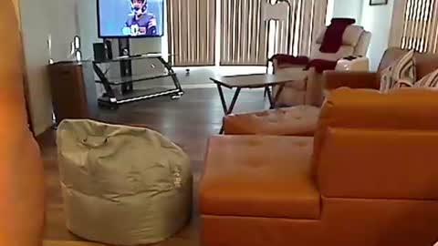 Snapshot of perfecto1957 chatting on December 2024 08:03:02 PM perfecto1957 online show from December 2024 08:03:02 PM