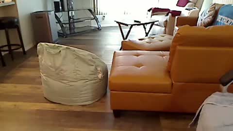 Snapshot of perfecto1957 chatting on March 2025 02:21:02 PM perfecto1957 online show from March 2025 02:21:02 PM