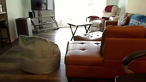 Snapshot of perfecto1957 chatting on October 2025 05:56:02 PM perfecto1957 online show from October 2025 05:56:02 PM