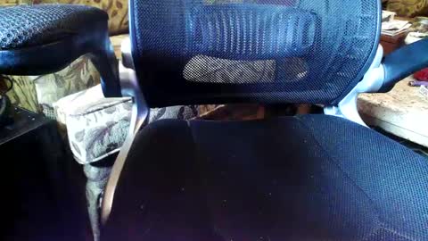 Snapshot of perfecto337 chatting on September 2025 09:04:02 PM perfecto337 online show from September 2025 09:04:02 PM