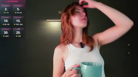 Snapshot of perfectvisitor chatting on June 2026 11:27:02 PM Sophia online show from June 2026 11:27:02 PM