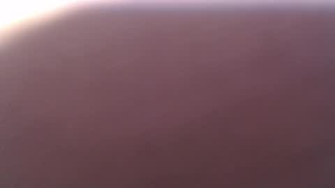 lecia online show from October 2025 06:04:01 AM