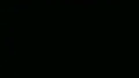 perrosoxxx online show from January 2025 12:09:01 AM