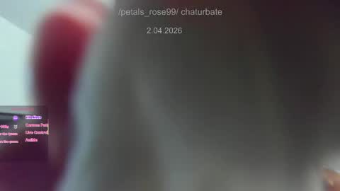 Snapshot of petals_rose99 chatting on April 2026 09:56:01 PM Rose online show from April 2026 09:56:01 PM